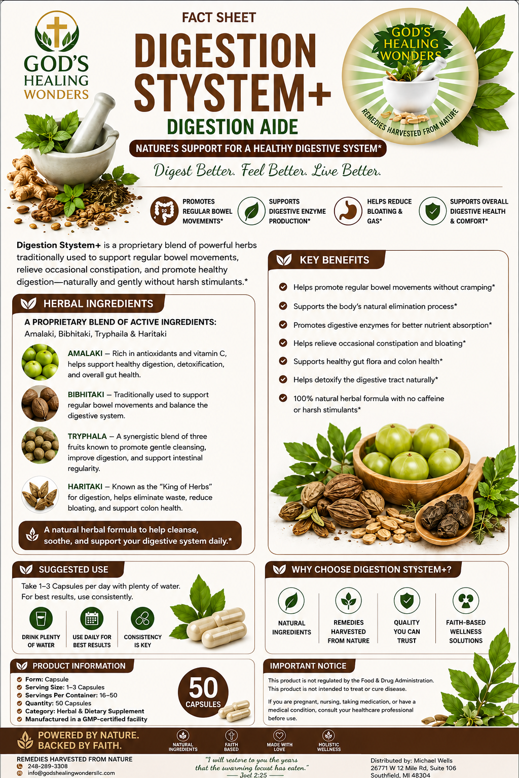 Digestion System+