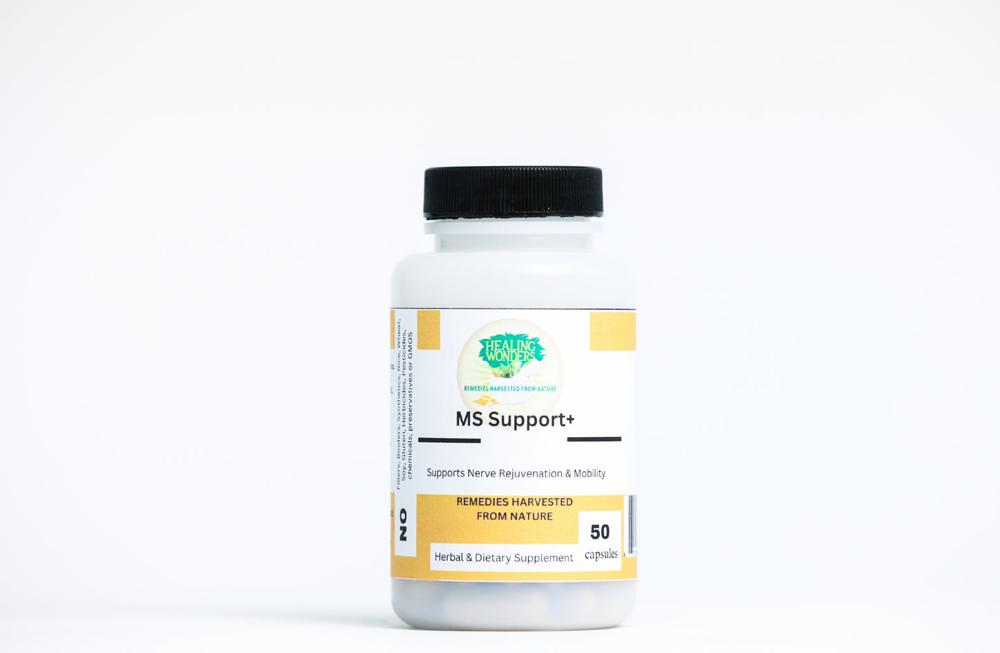 MS Support+