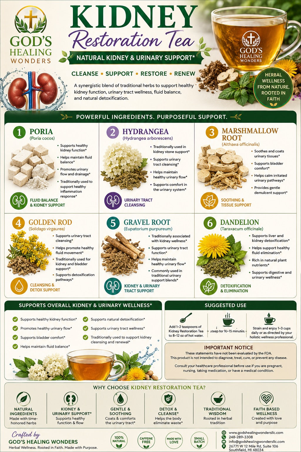 Kidney Restore Plus+