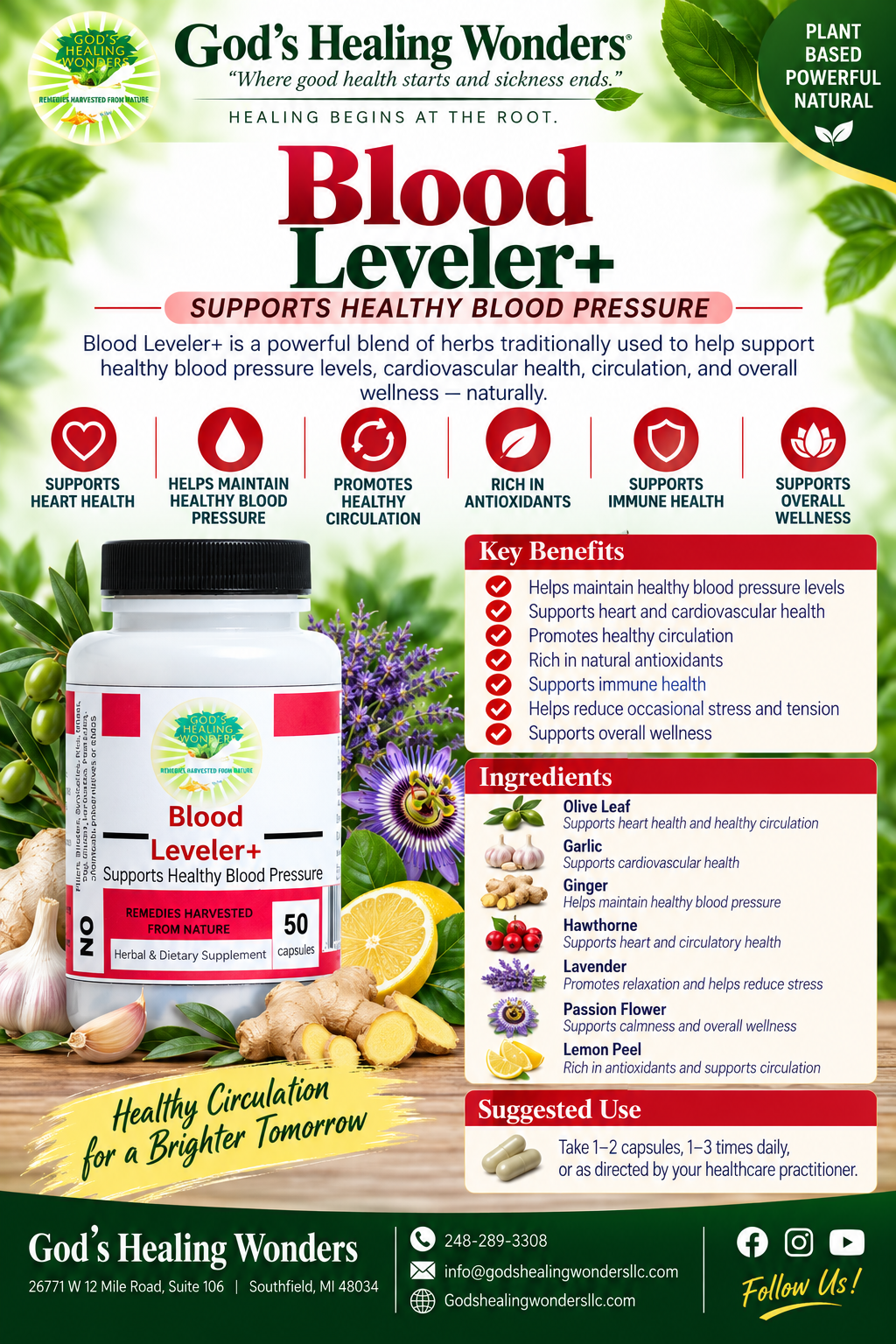 Blood Leveler +