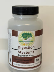 Digestion System+