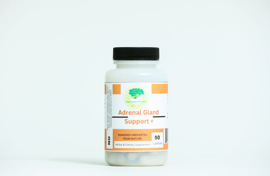 Adrenal Gland Support +