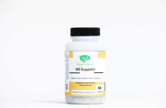 MS Support+