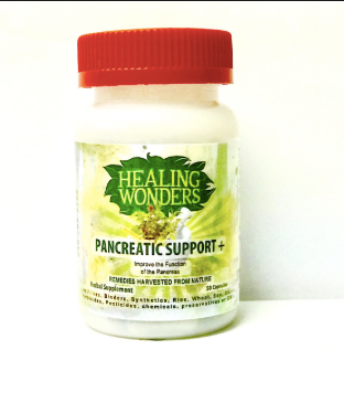 Pancreatic Support +